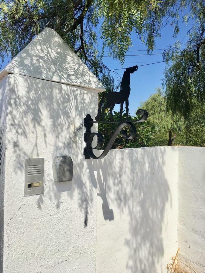 Duarte Holiday home